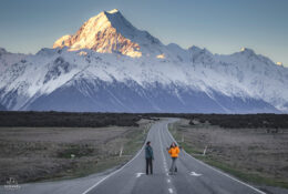 New Zealand 2025 (1 group) (41/66)